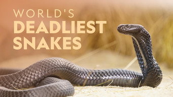 #4 World's Deadliest Snakes