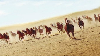#4 Running Free