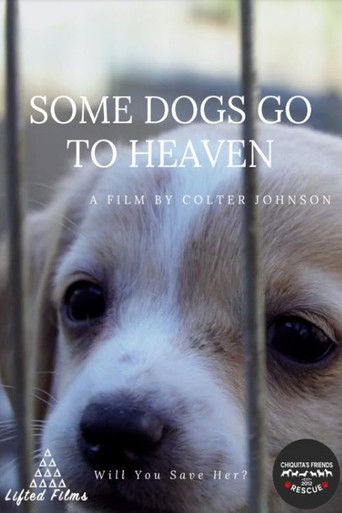 Some Dogs Go to Heaven poster