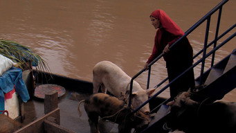 Margin (2007)