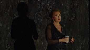 #5 Die Walküre