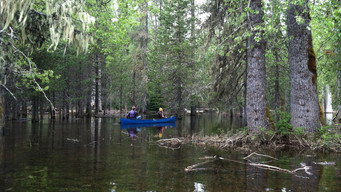 Disappearing Lake, Bat Mystery, Jeff Douglas Remembered And Klamath Lake Canoe Trail