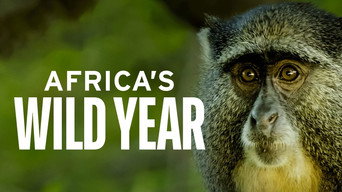 #4 Africa's wild year