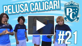 Episode 7 — Episode 7