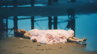 The Last Dance (1993)