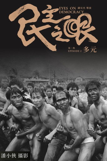 民主之眼：多元