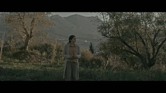 Verge (2016)