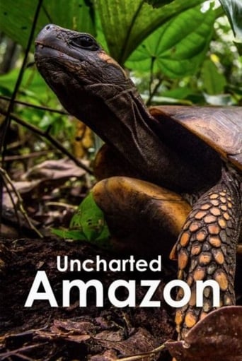 Uncharted Amazon en streaming 