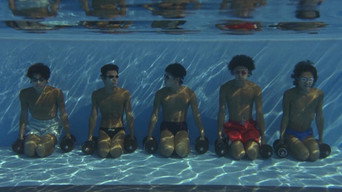 Waterboys media image