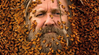 Bee Czar (2022- )
