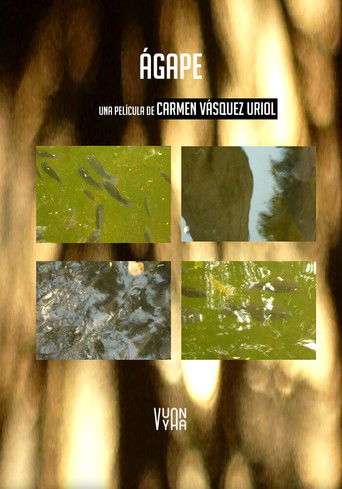 Ágape poster