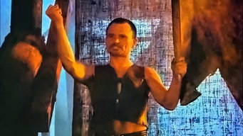 #4 Stephen, the King
