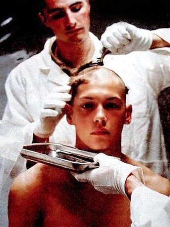 Vive la bombe ! (2007)