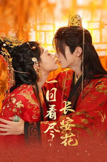 一日看尽长安花