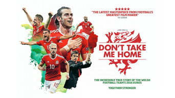 Don't Take Me Home (2017)