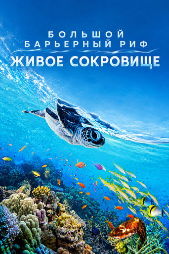 The Great Barrier Reef: A Living Treasure