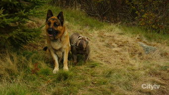 Episode 9 — All the Wrong Moves