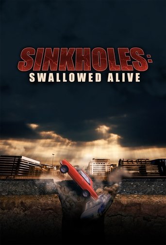 Sinkholes: Swallowed Alive: Season 1