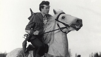 The Wild Swans (1987)