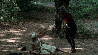 Monty Python and the Holy Grail backdrop 8