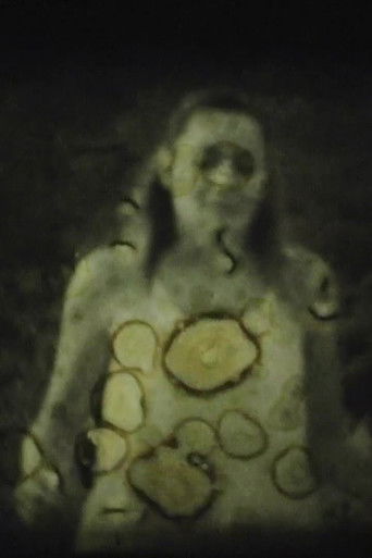 Dance with the lights of the dawn poster