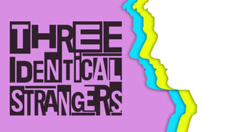 #11 Three Identical Strangers