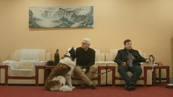 Galeria 2 - Sankt Bernhard Syndikatet