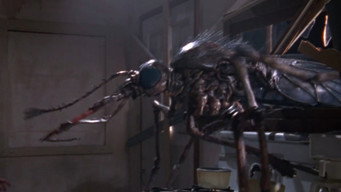 #11 Mosquito