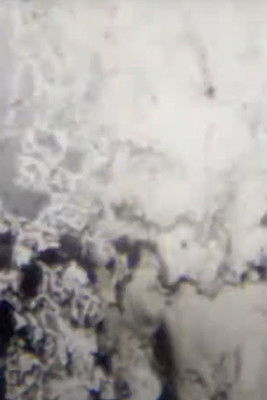 f r e q u e n c y poster