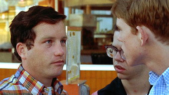 Galeria 5 - American Graffiti