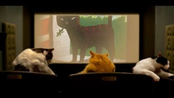 #2 Quarantine Cat Film Fest