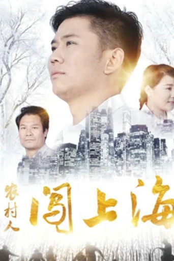 农村人闯上海 poster