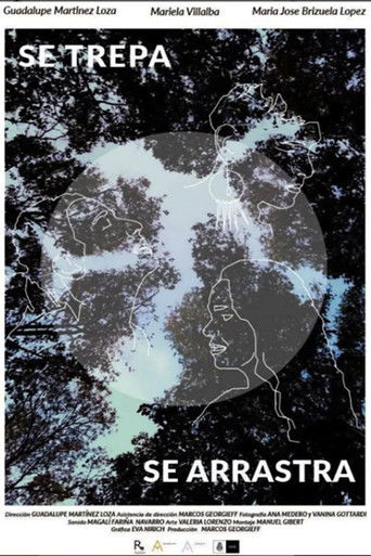 Se trepa, se arrastra poster