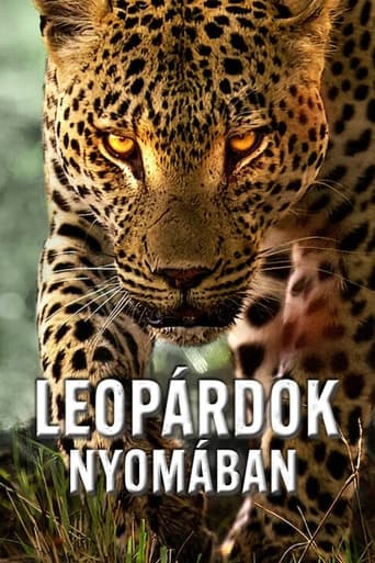 Leopárdok nyomában