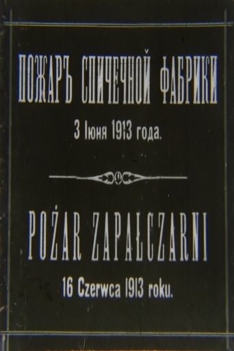 The Fire of the Match Factory (1913)