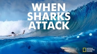 #3 When Sharks Attack