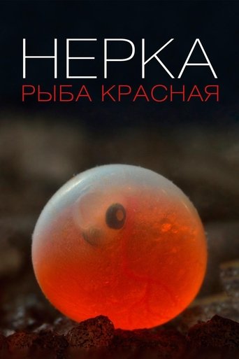 Нерка. Рыба красная (2020)