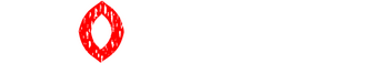 Clownwise logo