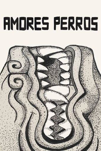 Poster of Amores Perros