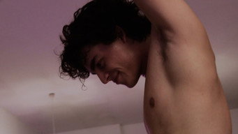 American Translation (2011)