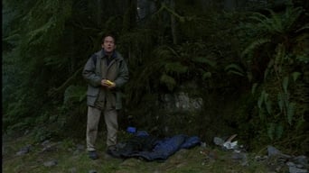 Episódio Episódio 12 da série Millennium