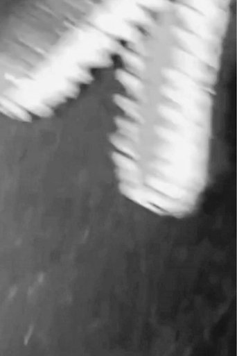 Dinosaur Farm B&W (2025)
