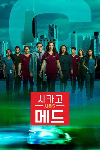 시즌 5