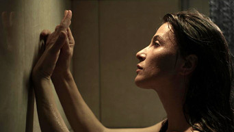 Amnesty (2011)