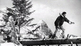 #8 The Alaskans