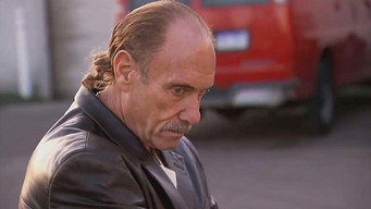 Empeños A Lo Bestia T8E13