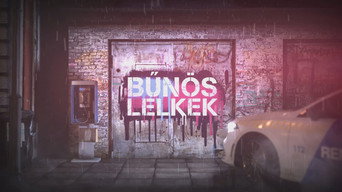Bünös lelkek (2020- )