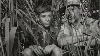Thorn Castle (1967)