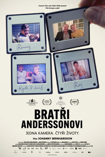 Bratři Anderssonovi