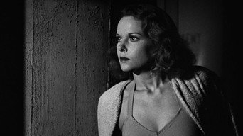 #28 Cat People